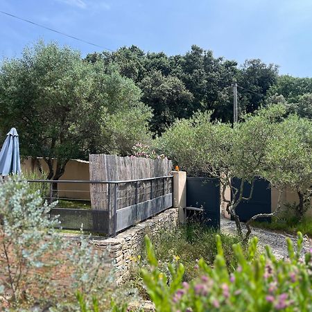 Villa Pierre Blanche Le Calme A 5Mn Du Centre Ville Nîmes Eksteriør billede